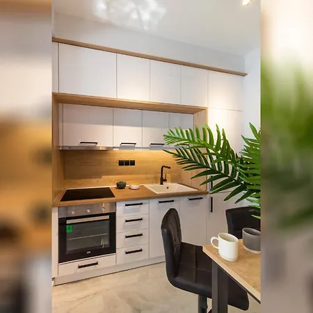 Apartment P Deluxe Suite2 *